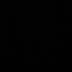 Meet your Posher, Max